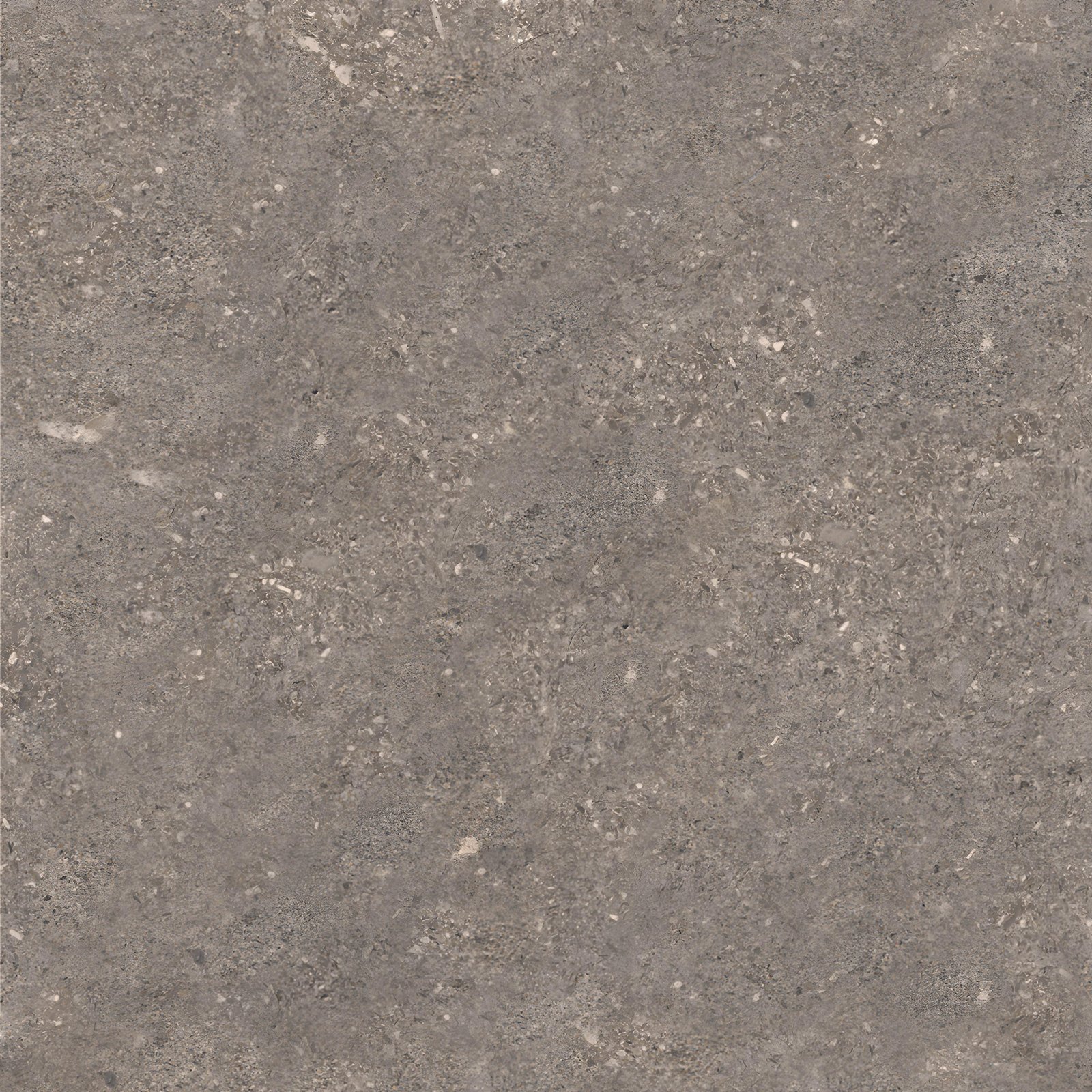 PLATINUM 60X60 JORDY GREY